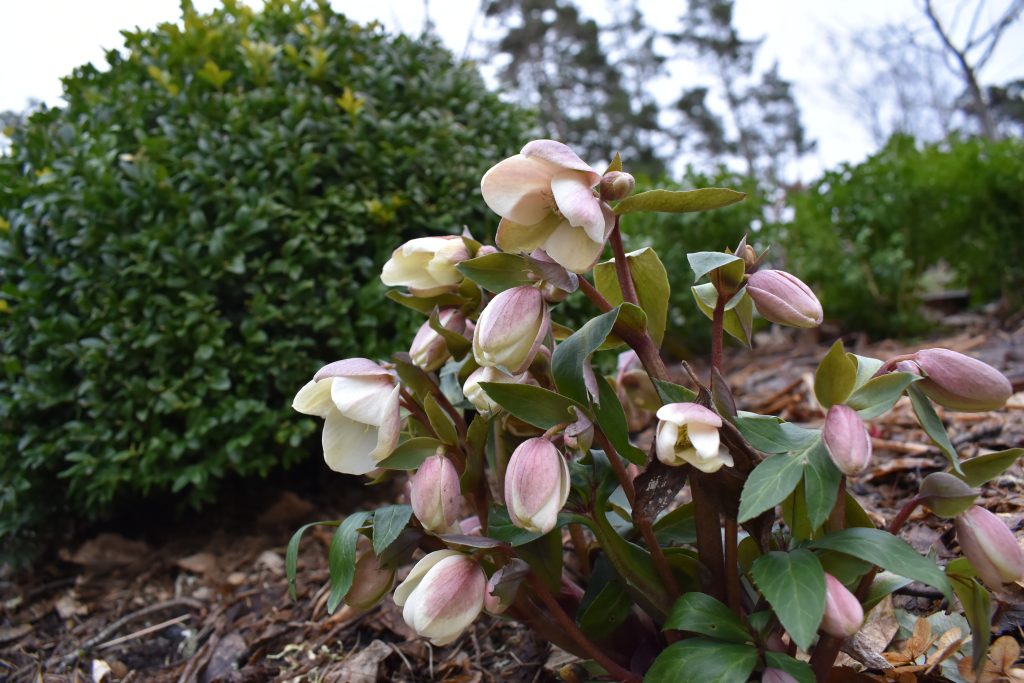 Checklista för våren